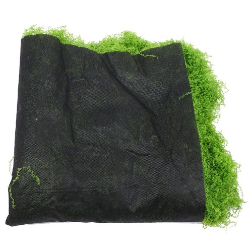 Tapis mousse vegetale - tapis,