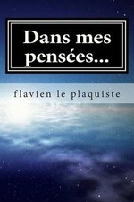 Dans mes penses... by Flavien Le Plaquiste (French) Paperback Book