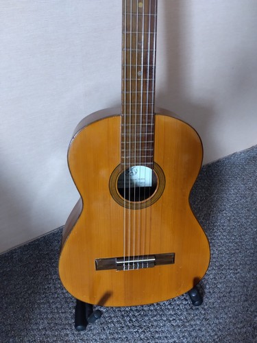 Unique flamenco guitar - unique,