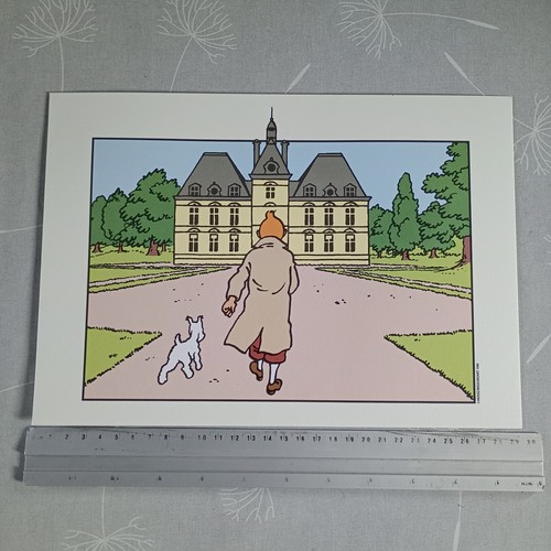 Tintin libris 21 x 30 - tintin,