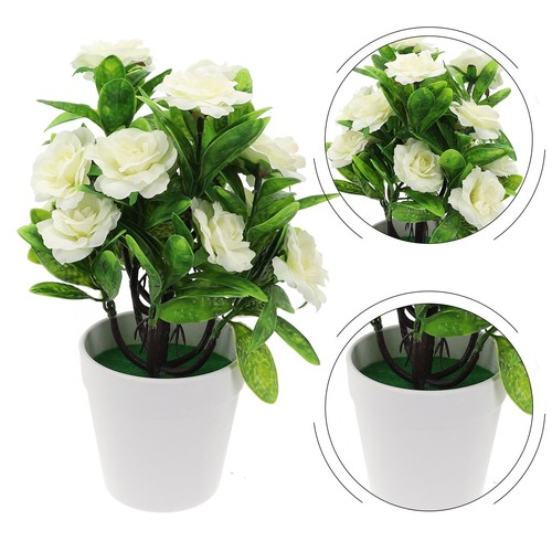 Plantes artificielles bonsaï