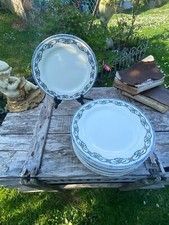 12 Assiettes plates en