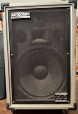 Vintage Roland Cube 100