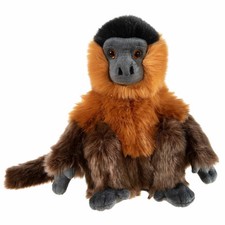 Heunec Animaux menacés Singe