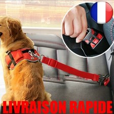 Ceinture sécurité réglable - sÉcuritÉ,