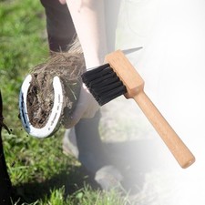 Brosse de toilettage portative