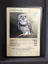 Life Tcg Birds : Forest Owlet