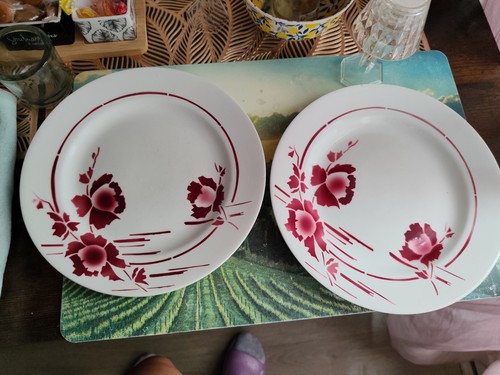 Duo assiettes anciennes - d'assiettes,