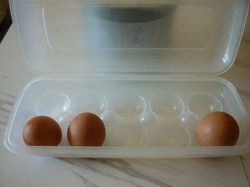 Boîte oeufs - boîte,