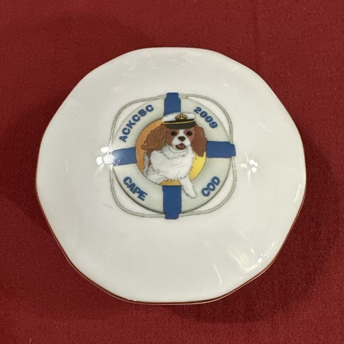 Cape cod cavalier king charles - cavalier,