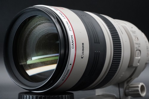 Canon 100 400mm - 100-400mm, l