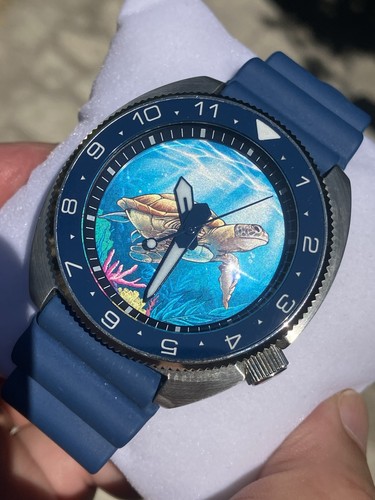 Islander seiko turtle - x,