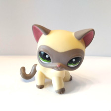 figurine petshop original chat européen short hair 1116  pet shop lps