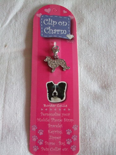Pendentif médaillon - pendentif,