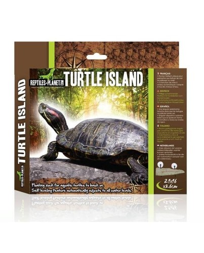 Plage flottante tortue - plage,