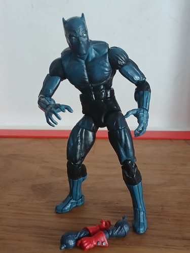 Black panther panthère noire - black,