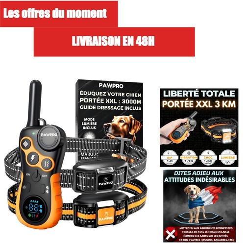 Pawpro collier dressage - pawpro,