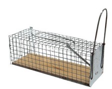 NASSE RAT 1 ENTREE  en bois