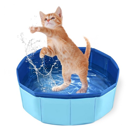 Piscine chat 10 cm - 30,