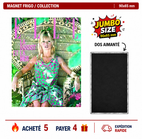 Magnet frigo brigitte - frigo,