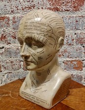 Carl Huter 1920s phrenology head plaster study 