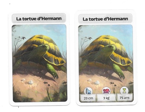 Carte mcdonald la - -, tortue