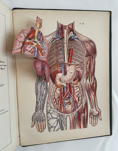 Larousse médical illustré - médical,