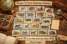 23 Images Scolaires Anciennes