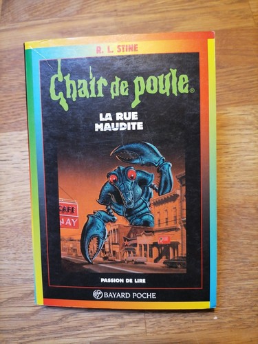 Livre chair poule la rue - -,