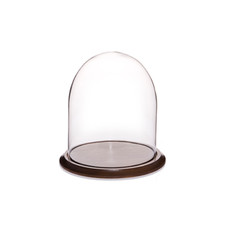 Cloche En Verre Diamètre 20 CM X 25 CM Hauteur avec socle en Bois