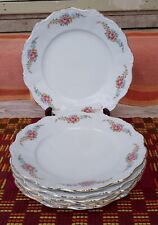 6 assiettes plates en