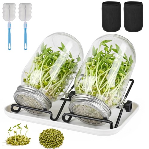 Pots bocal germination - bocal, 2
