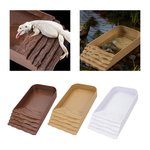 Bol eau pour - tortue,, bassin