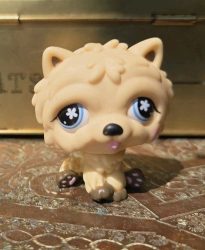 Littlest petshop chien - littlest,