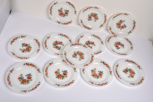 Arcopal lot assiettes - , 12