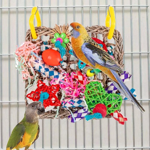 Oiseau fourrage mur - oiseau,