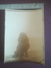 I076 lot 12 Photos anciennes