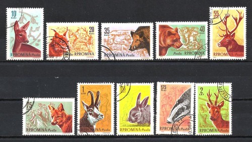Animaux faune sauvage - sauvage, roumanie