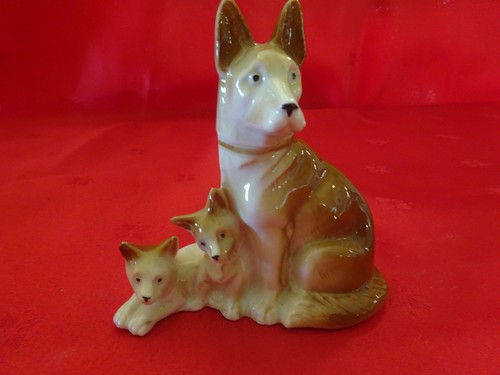 Dog allemand ses - ses, chiots