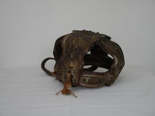 19th century studded horse muzzle