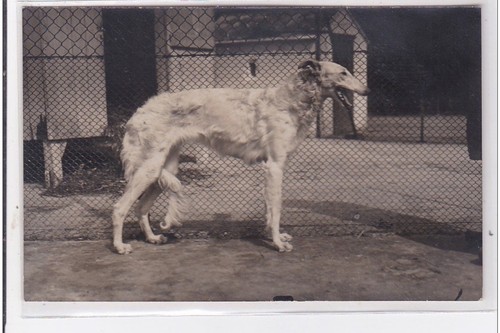 Cyprien carte photo - st-cyprien,