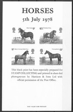Angleterre Chevaux Poney