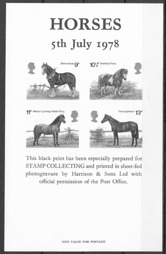 Angleterre chevaux poney - angleterre,