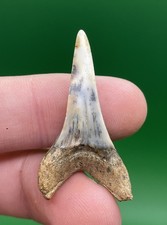 Quality Uniquely Patterned