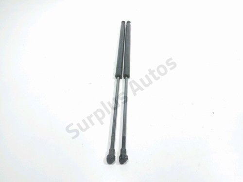 Verin hayon 8731g5 peugeot 206 - verin,