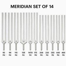 🌟 14 MERIDIAN Tuning