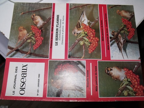 µµ journal des - µµ, oiseaux