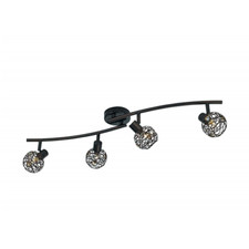 Hosta - Barre Double Spot 4