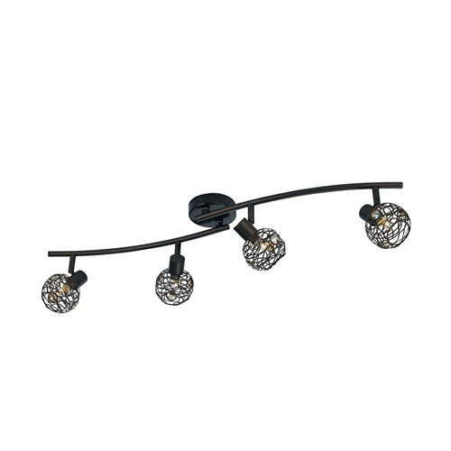 Hosta barre double spot - barre, 4