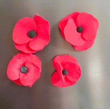 Magnet Coquelicot - Lot de 4